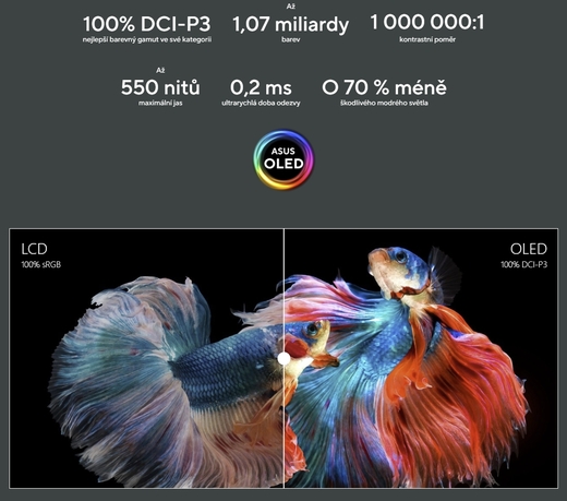 11 - oled kino.jpg