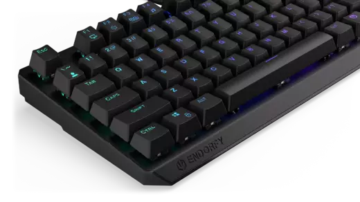 EY5A002-endorfy-thock-tkl-brown-09.webp
